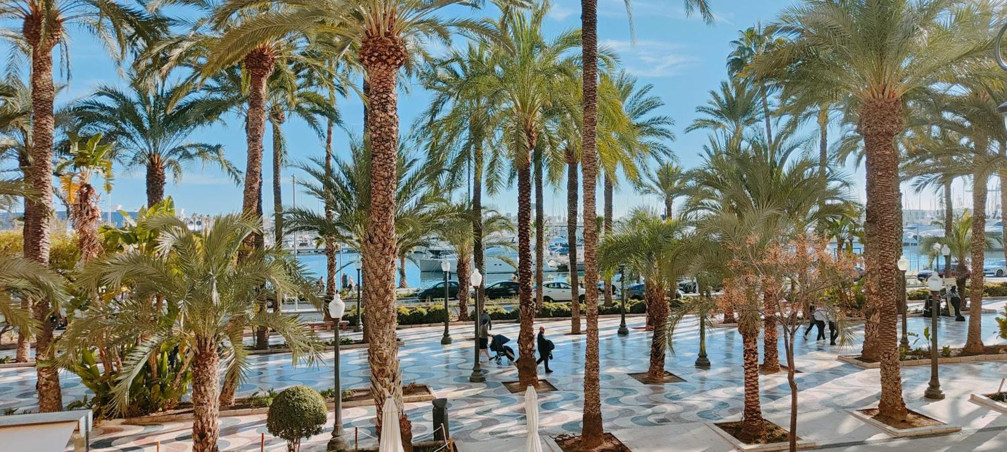 Alicantissima Marina & Beach 阿利坎特 外观 照片